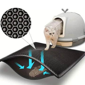 Litter & Housebreaking