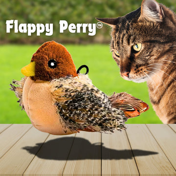 Cat Toys