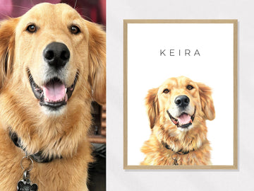 Gifts for Fur Moms