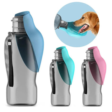 Pet Cavern™ Everyday Hydrate" 800ml Portable Water Bottle
