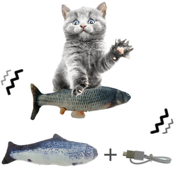 Pet Cavern™ Dancing Fish - Realistic Moves!