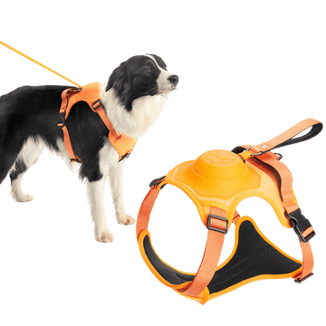 Pet Cavern™ Dog Harness and Retractable Leash Set All-in-One
