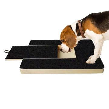 Dog Nail Scratch Board