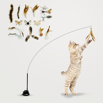 Cat Feather Toy Attachments (15 Pcs)