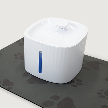 Cat Water Fountain