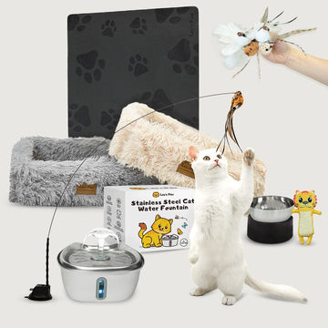 Kitten Starter Kit