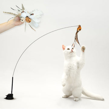 Interactive Bird Simulation Cat Toy Set |