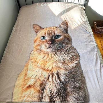 Timmy The Chonk Blanket
