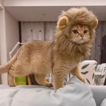 Cat Lion Mane Halloween Costume – Realistic Lion Wig for Small Cats & Kittens | Perfect for Halloween, Cat Birthday Parties & Cosplay Outfits