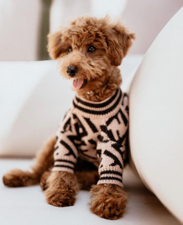 Brown Dog Sweater