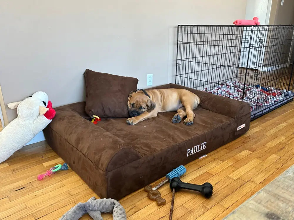 Pet Beds