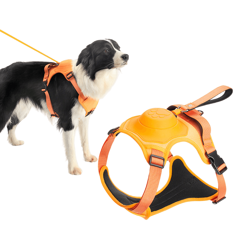 Pet Cavern™ Dog Harness and Retractable Leash Set All-in-One