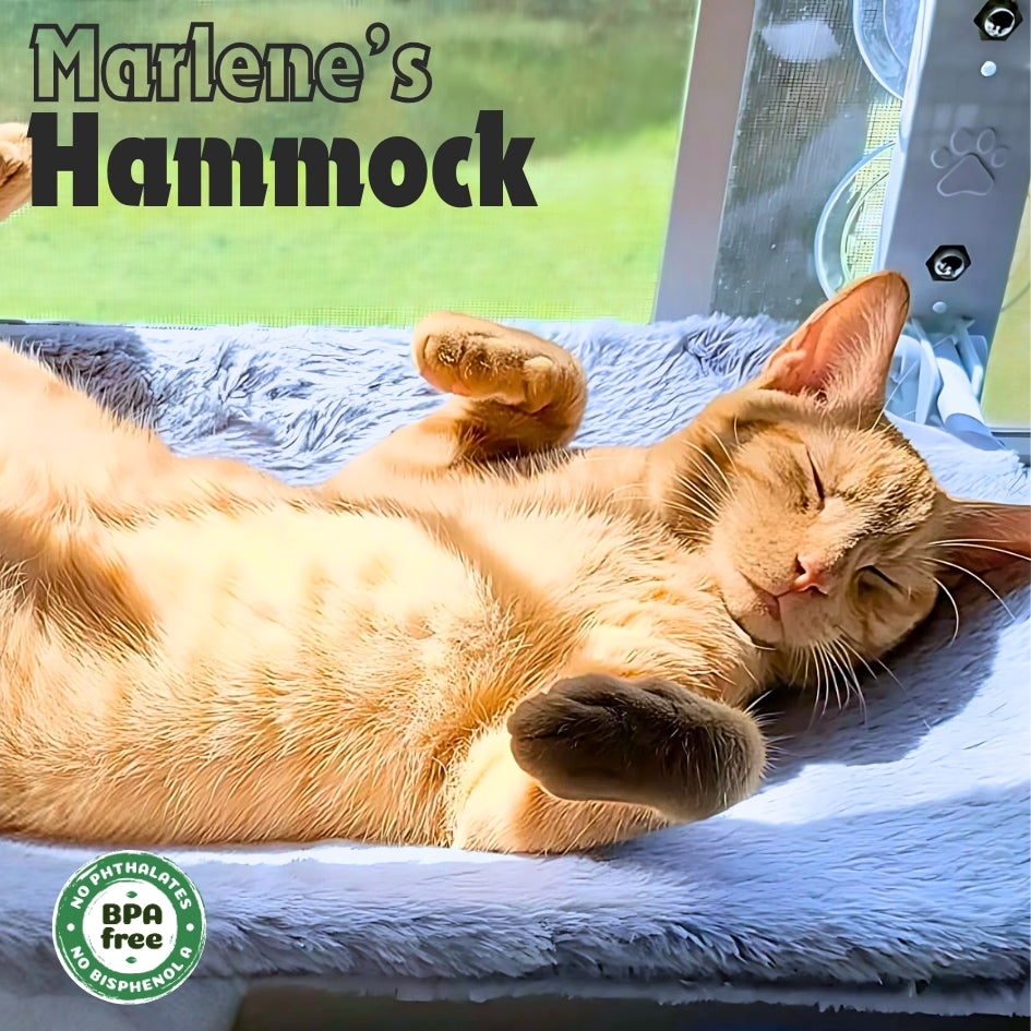 Marlene’s Signature Hammock™: [Buy 1]