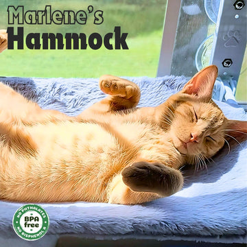 Marlene’s Signature Hammock™: [Buy 1]