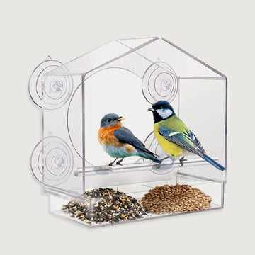 Window Bird Feeder - Real Life Cat TV