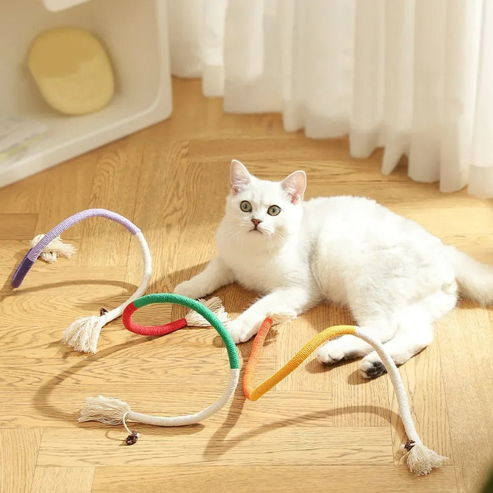 chew cat toy