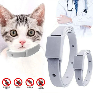 Anti Flea Tick Collar for Cat Small Dog Antiparasitic 8Month Protection Adjustable Puppy Kitten Collar