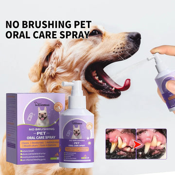 pet oral repair gel