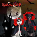 Halloween pet costume