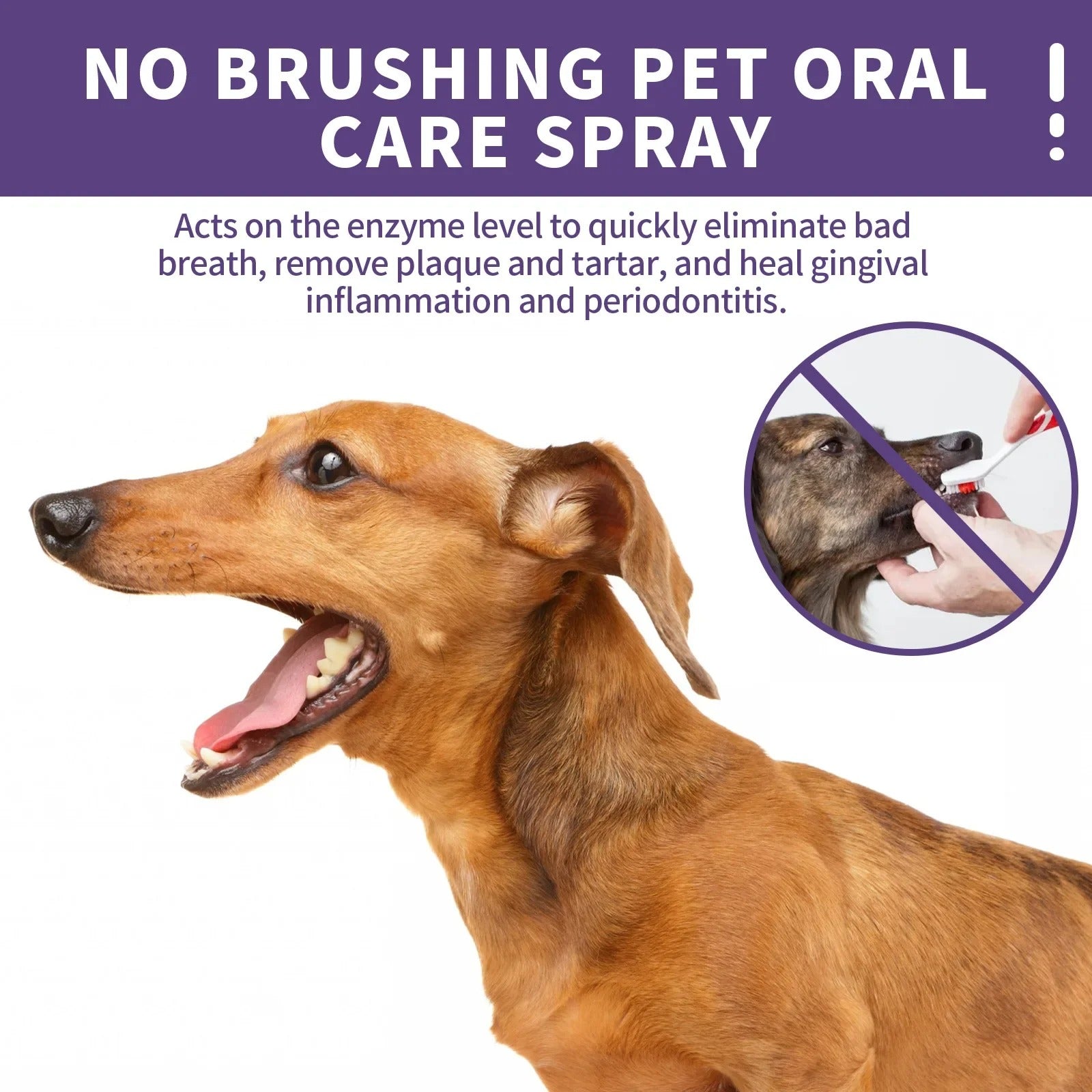 muzzleglow pet oral repair