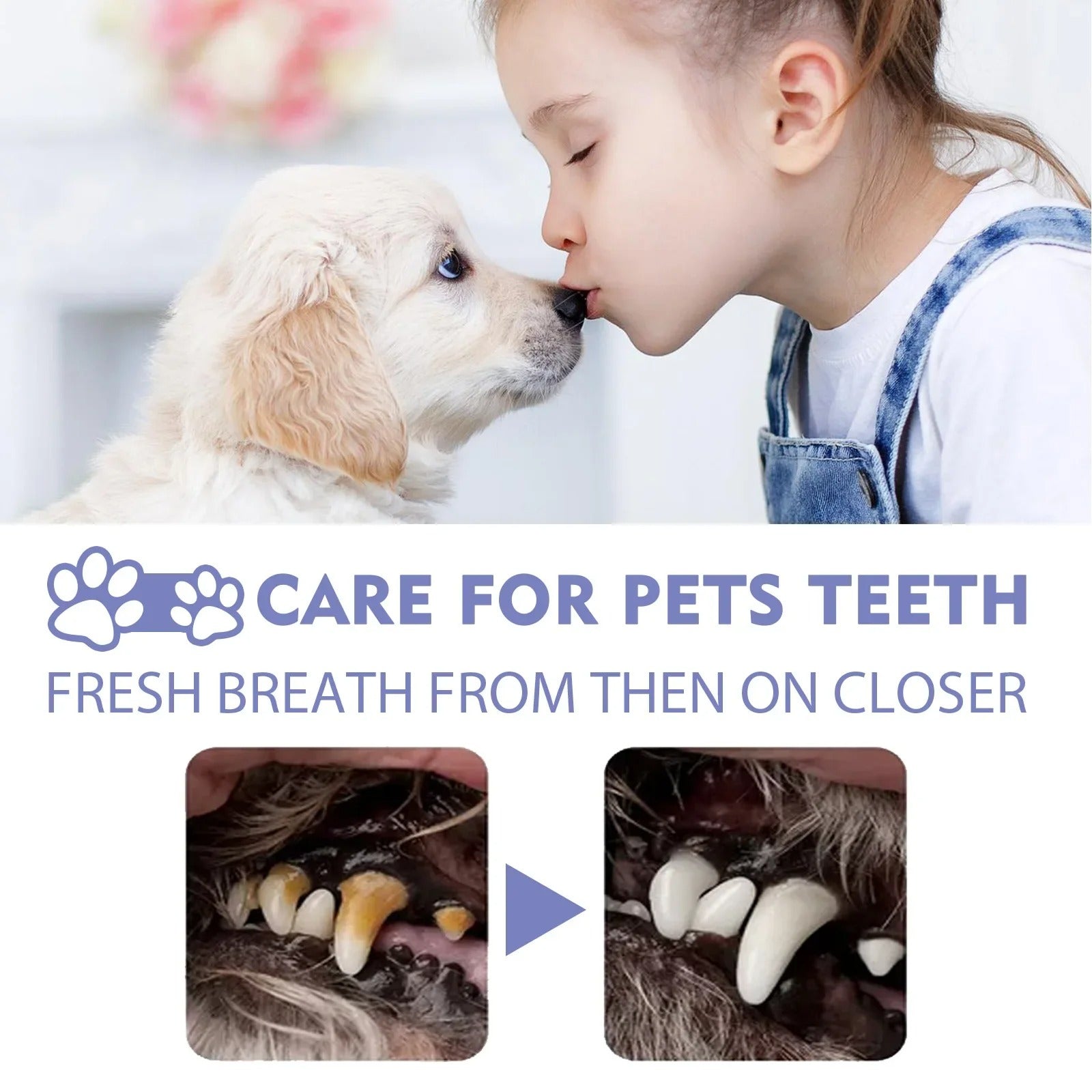 pet oral repair gel reviews