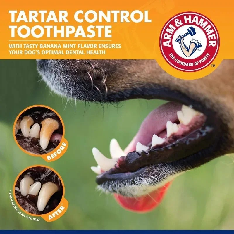 Pet Cleaning Tools Kit Dog Gum Care