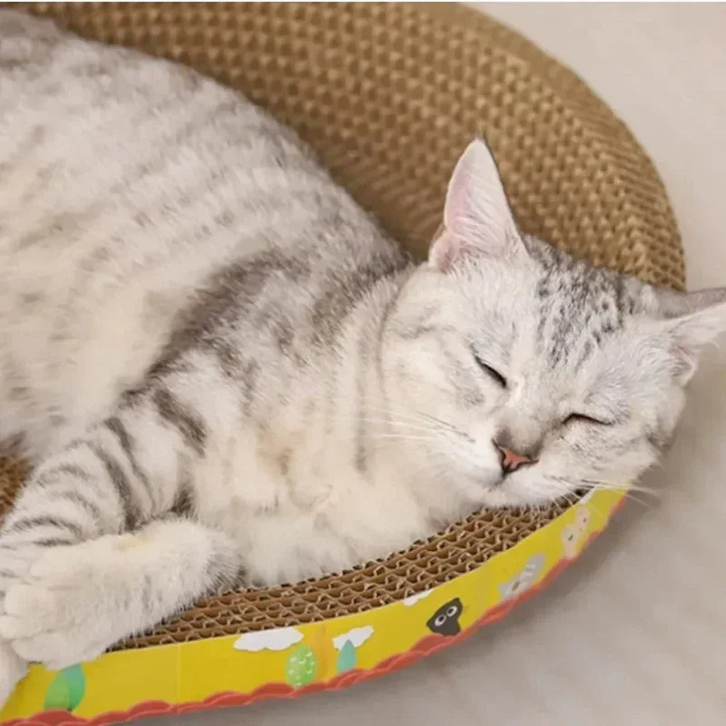 Oval Cat Scratching Board Cat Bed and toy