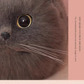 one shoulder cute cat bag 