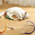 chew cat toy