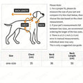Halloween pet costume