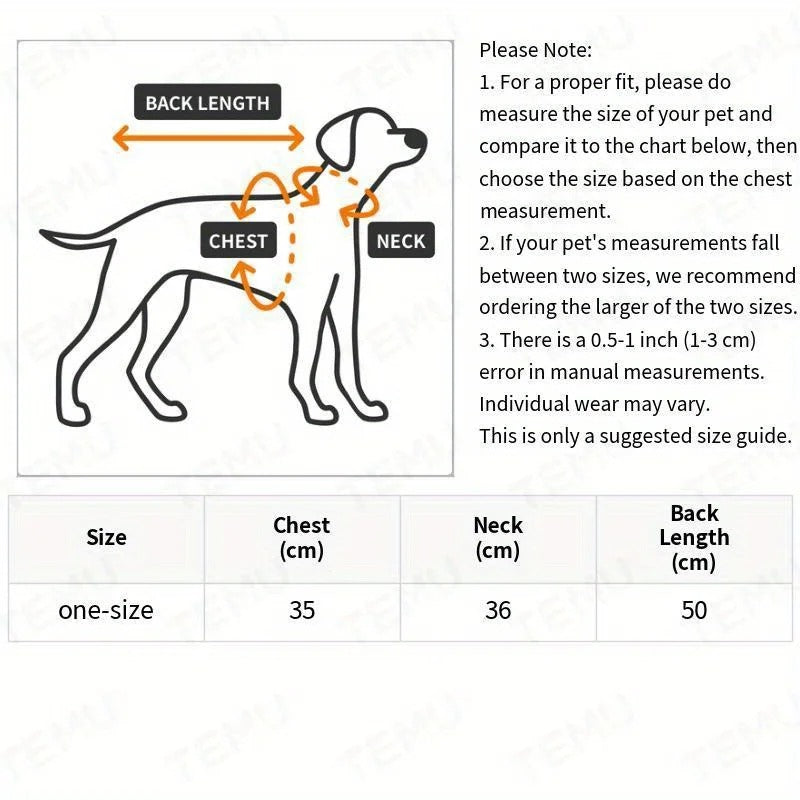 Halloween pet costume