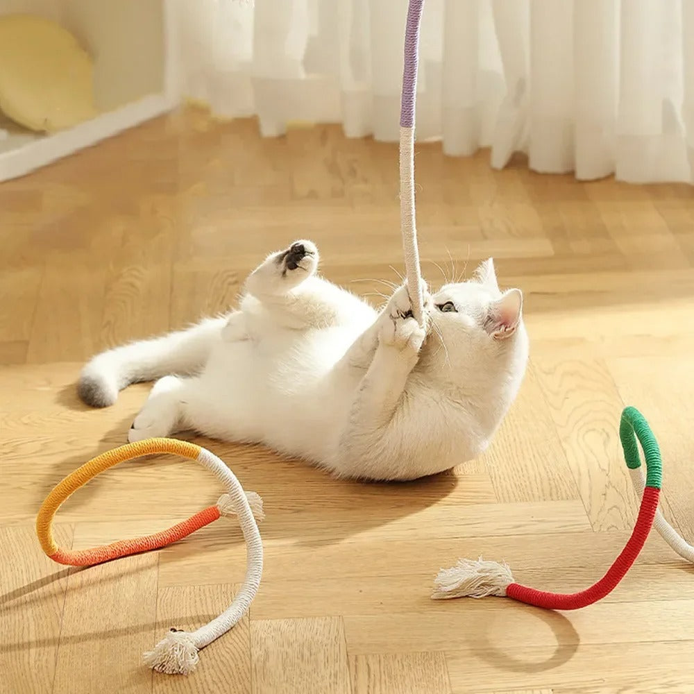 chew cat toy