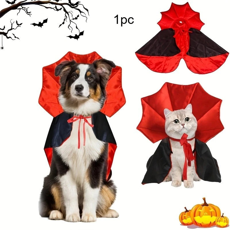 Halloween pet costume