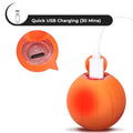 automatic rolling rechargeable boucing cat toy ball