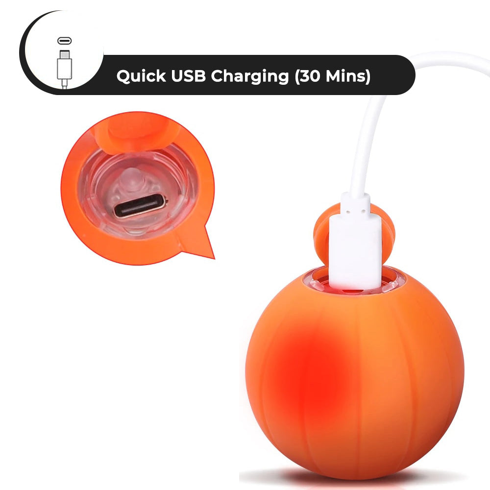 automatic rolling rechargeable boucing cat toy ball